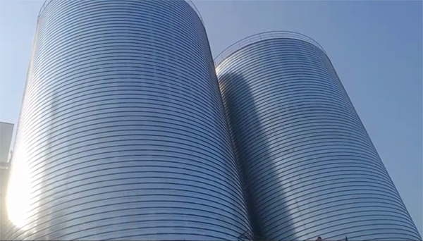 隆安2座混凝土高架卷板仓